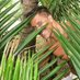 Fredrik Eklund (@fredrikeklundny) Twitter profile photo