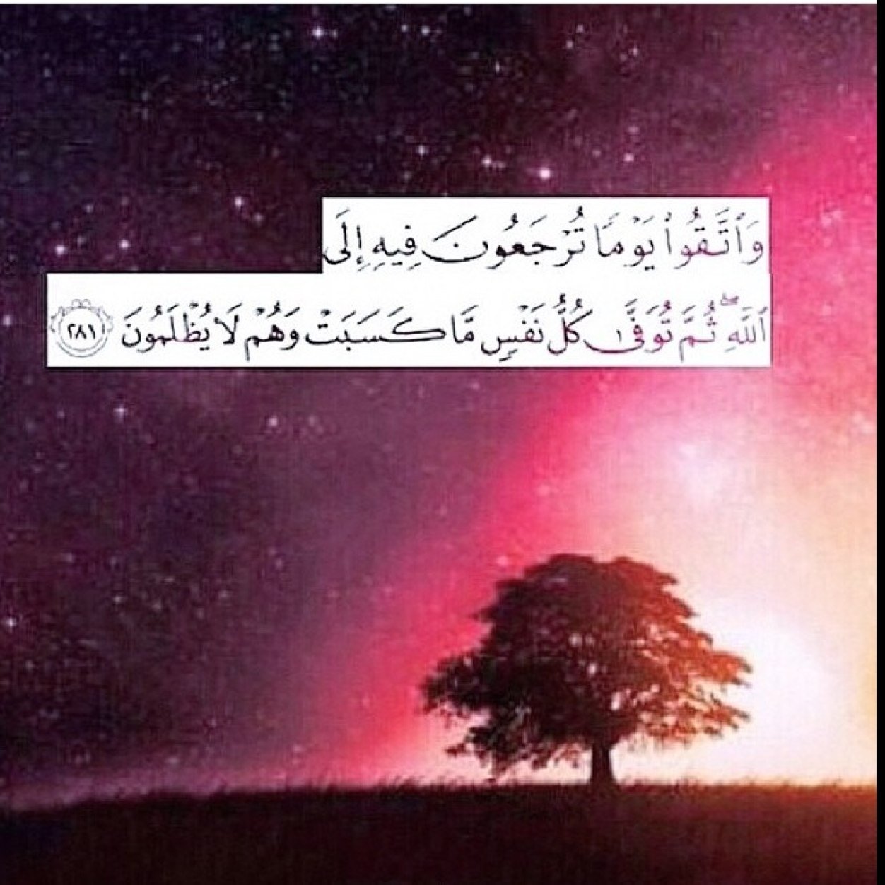 استغف الله واتوبو الله❤️❤️❤️❤️