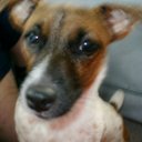 sara lemke - @lemke_1sara - Twitter