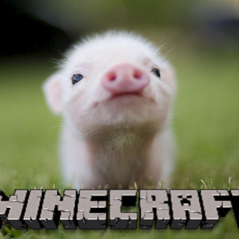 who like minecraft