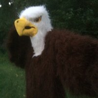 Eddy the Eagle (@fkhs_eddy_eagle) 's Twitter Profile