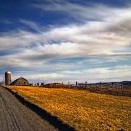 Country_Boy222's profile picture. Huntin' fishin' and dippin' follow us for great tweets we follow back! Stay country my friends