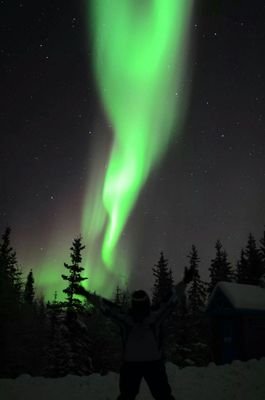 ynltour's profile picture. 