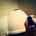 Stuart Nitro Jackson - @Stuart_Jackson8 - Twitter