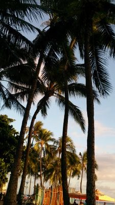 I love hawaii♥