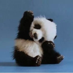 03_bmcorbitt's profile picture. 