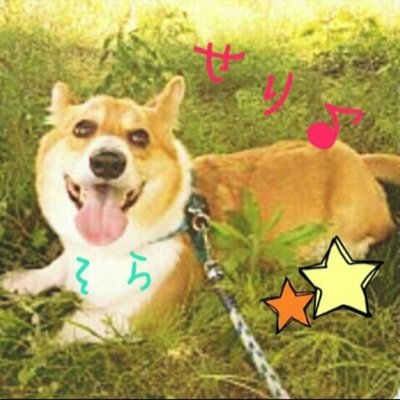 府中南小→大州中→広島国泰寺高校★理数★
→K.G
 気軽にフォローしてね！＼(^o^)／