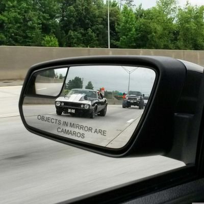 LakeFan2020's profile picture. 