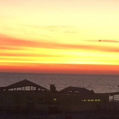 daniellevalk77's profile picture. 