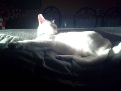 caloY3210's profile picture. 