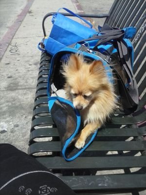 RealJezus43's profile picture. 