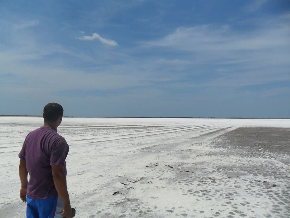 lopezsall3's profile picture. 