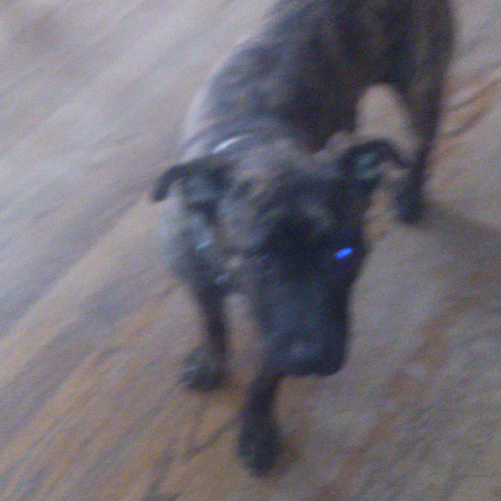 LimbaughChris's profile picture. 