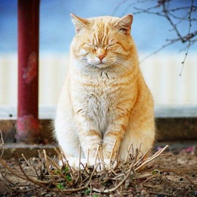 人生を変える名言 練習が本番 試合はおまけなんです By 長谷川穂積 ボクシング