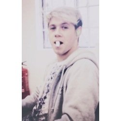 niallercody's profile picture. cody follows