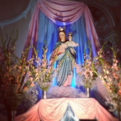 Piolinita19's profile picture. licenciada en leyes, pero me gusta mucho todo lo artsitico,,,