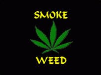 Get High Every Day - 420 - weed