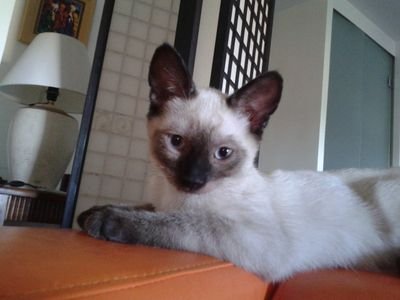 j4tbooo's profile picture. 