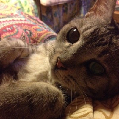 RIERIELOCA's profile picture. 