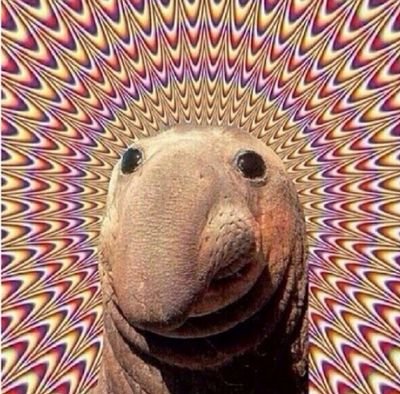 MadisonMM7's profile picture. i love that one clothing line nirvana!