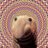 MadisonMM7's profile image