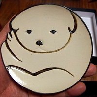 こーすけ (@sekka33) 's Twitter Profile Photo