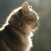 JasMaclurcan's profile picture. Property manager