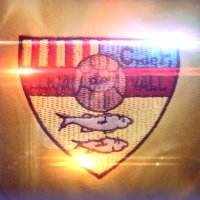 LLIÇÀ DE VALL C.F (@llicadevallcf) 's Twitter Profile