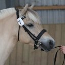 Karina Thygesen  - @KarinaThygesen - Twitter