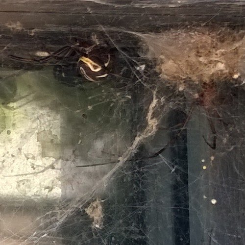 iamuser1111's profile picture. 