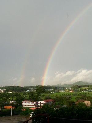 pst339's profile picture. 사필규정.