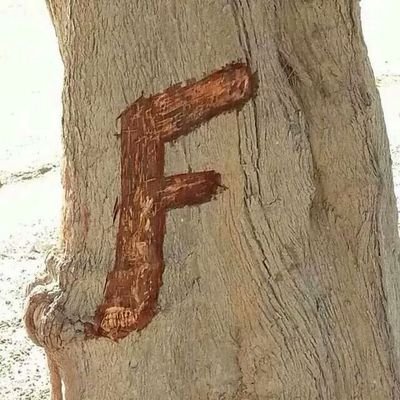 fayaz0003F's profile picture. 💕ضمنيّ وقول غيرك ما عشقت  ‏ناظر عيوني وقول غيرك ما أبي💘