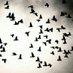 موجب تعز (@slyma2004) Twitter profile photo موجب تعز (@slyma2004) Twitter profile photo