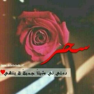 لاني أحبها ولأن الحب دعاء ، جعلت هذا الحساب صدقه جاريه لها لعله يكون شفيع لها يوم القيامه ... أبقاك الله لي سحورتي~(: