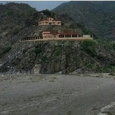 qloop994's profile picture. 