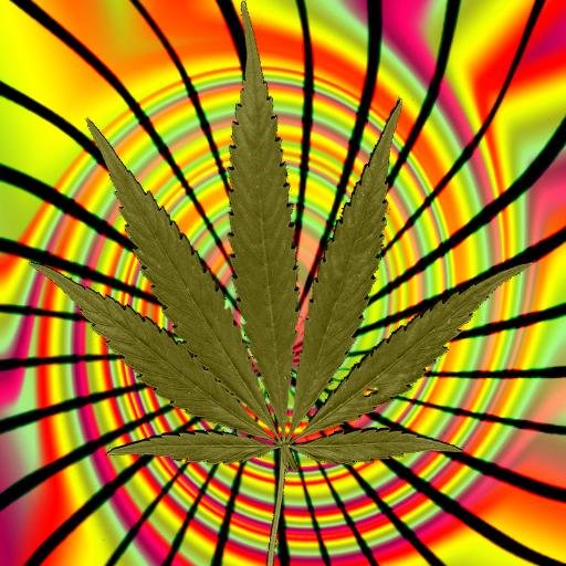 Everything to Know about the World of Marijuana.