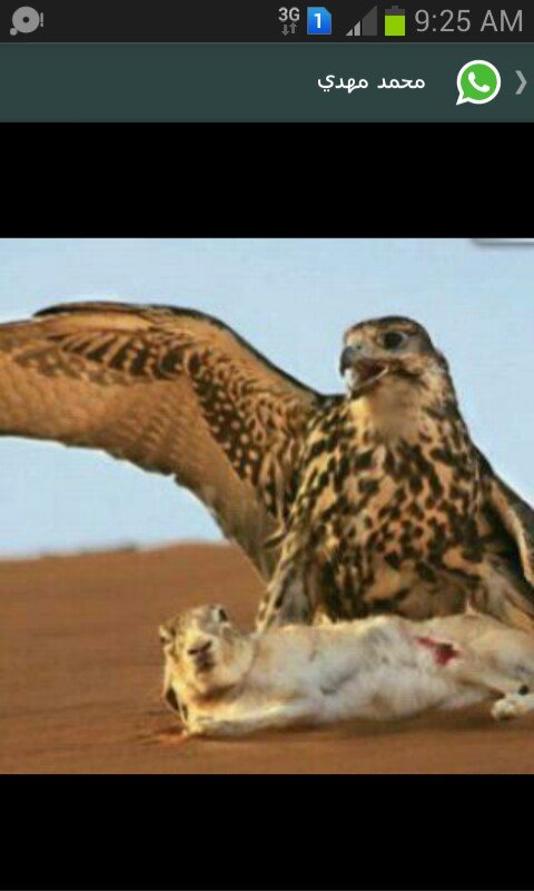 ‏‏نظرتي للحياة ان لا مستحيل