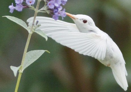 leisouzza's profile picture. 