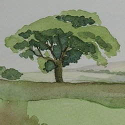 Artist