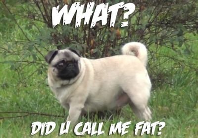 That moment wen someone farts in public: 0.0
