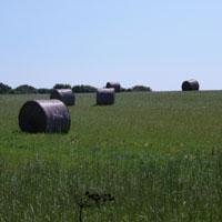 Journaliste indépendant #agriculture #ACS #agroalimentaire