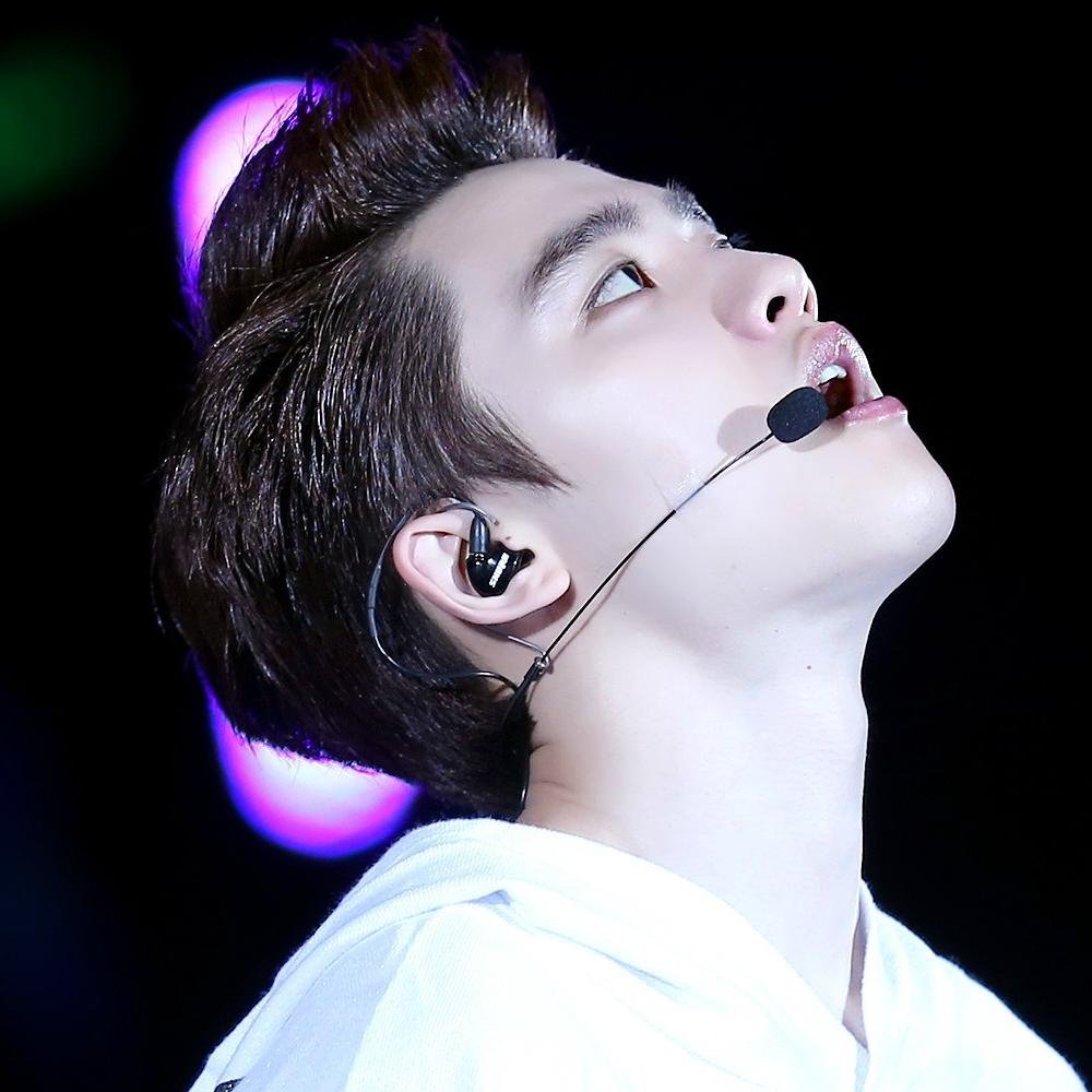 exostan