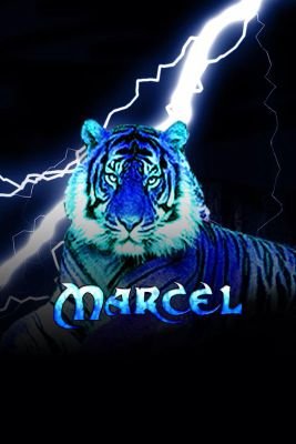 meuchte's profile picture. 