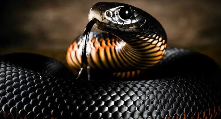 Network240's profile picture. Подпишись! #Новости #Юмор #Интересное в Мире #Бизнес #Позитив #технологии #News #Humor #Photo Все самое интересное и свежие новости ежедневно