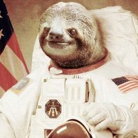 regi (@regi) 's Twitter Profile