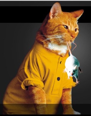 PestControl_Kr's profile picture. Основний вид діяльності ПП Крес - проведення робіт у сфері дезінфекції, дезінсекції, фумігації та дератизації (Pest Control - контроль шкідників).