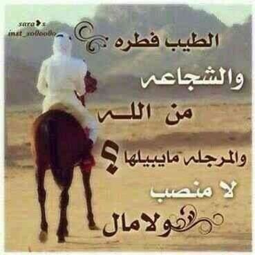 milaf404's profile picture. عش يومك