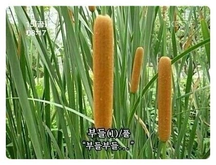 토끼벌さんのプロフィール画像