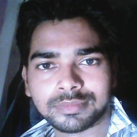 Software Developer