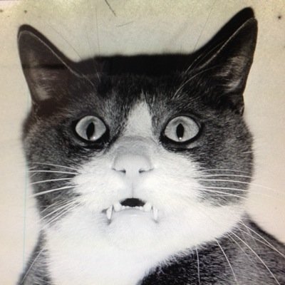 katsufujita_'s profile picture. イヤダカライヤダ